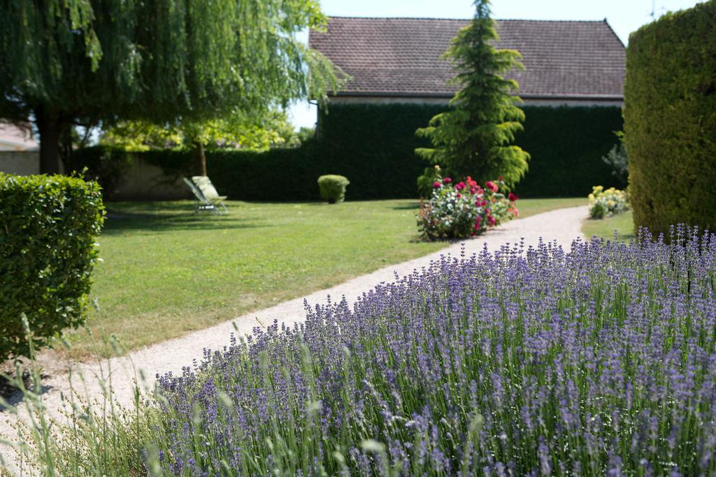 Hotel L'Oree Des Vignes Gilly-lès-Cîteaux 외부 사진