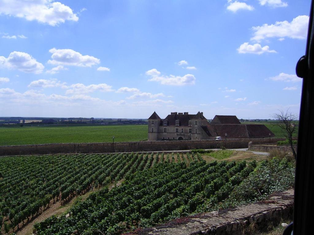 Hotel L'Oree Des Vignes Gilly-lès-Cîteaux 외부 사진