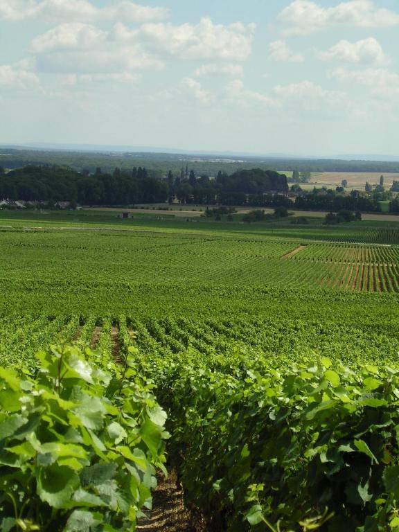 Hotel L'Oree Des Vignes Gilly-lès-Cîteaux 외부 사진